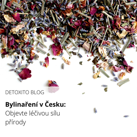Bylinaření v Česku