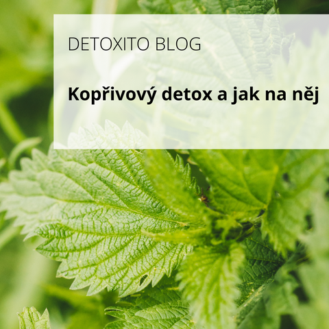 Kopřivový detox