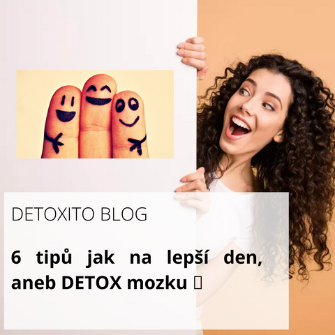 Detox mozku