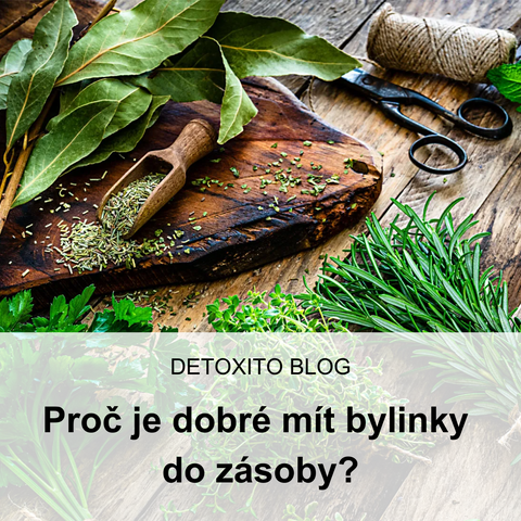 Bylinková lékárna na zimu: nasbírejte si zdraví do zásoby!